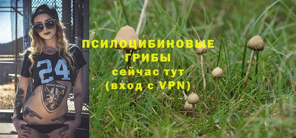 ALPHA-PVP Волоколамск